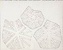 Period Page thumb